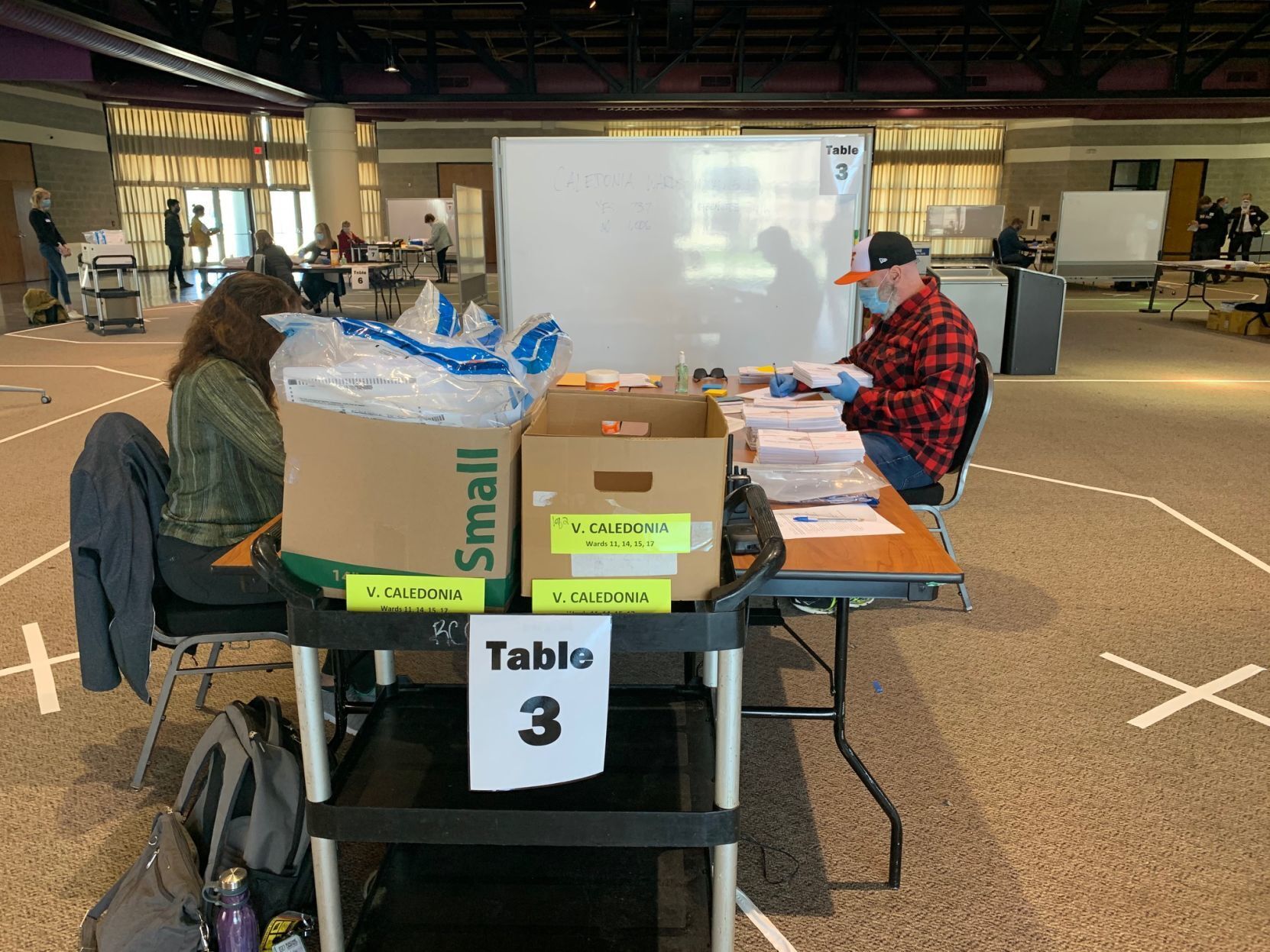 Referendum recount
